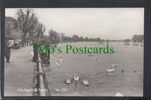 Load image into Gallery viewer, The Swans at Putney, London
