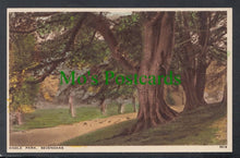 Load image into Gallery viewer, Knole Park, Sevenoaks, Kent