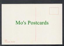 Load image into Gallery viewer, China Postcard - Chanyuan Garden