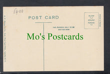 Load image into Gallery viewer, Collipriest Walk, Tiverton, Devon