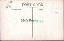 Load image into Gallery viewer, Broad Farm, Hellingly, Sussex