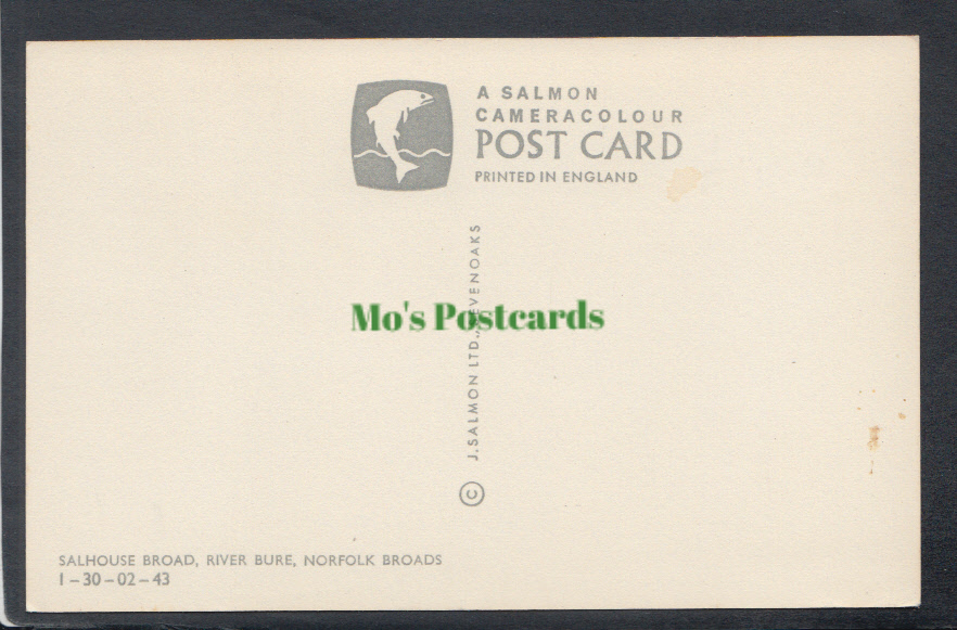 Norfolk Postcard - Salhouse Broad, River Bure, Norfolk Broads - Mo’s Postcards