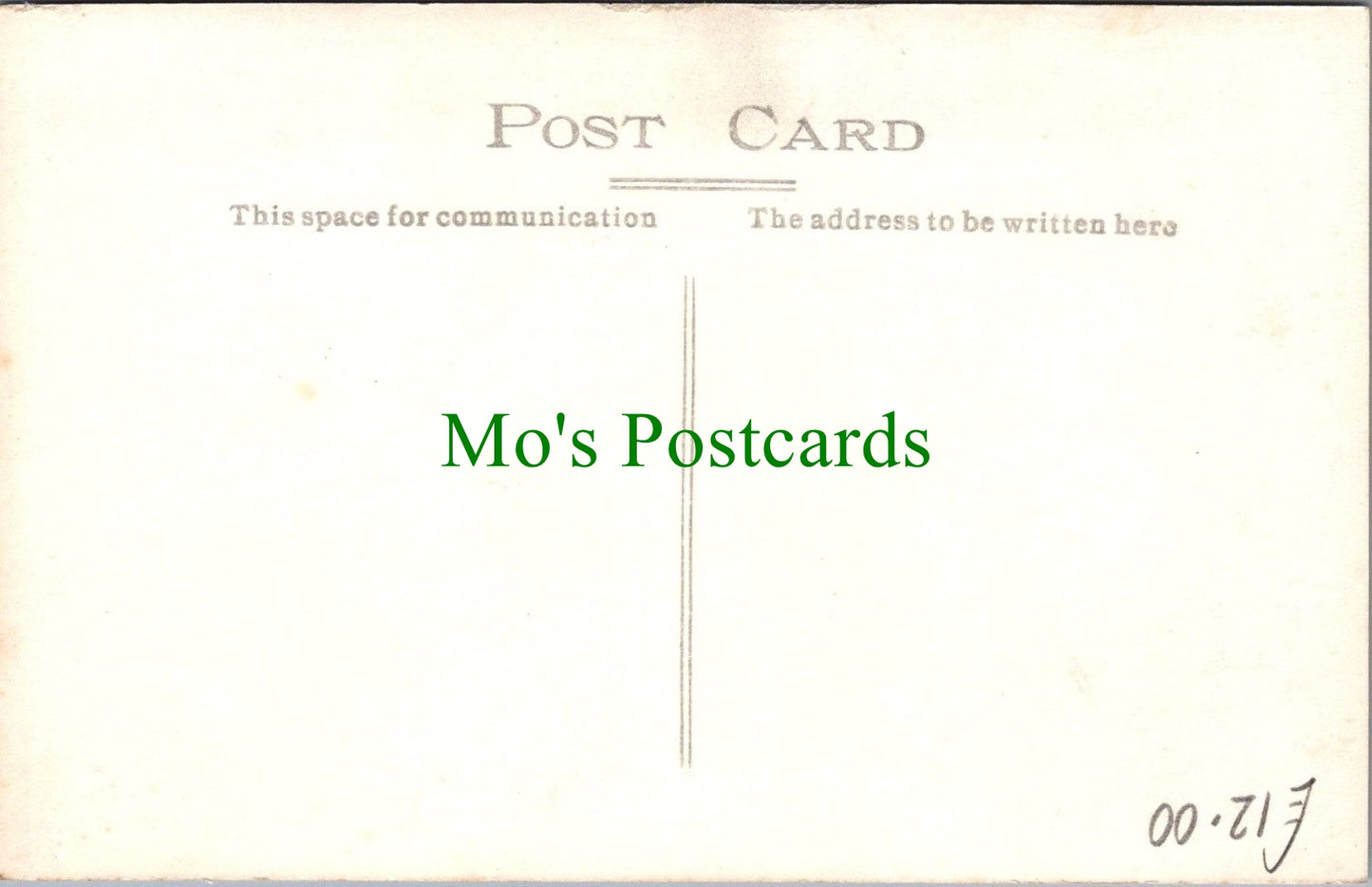 Diving Postcard - World Champion "Pete" Desjardins