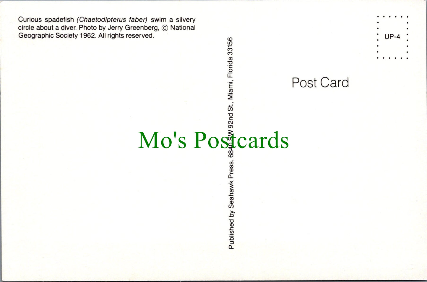 Fish Postcard - Curious Spadefish
