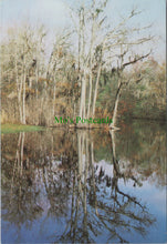 Load image into Gallery viewer, Along The Grand Strand at Myrtle Beach, South Carolina