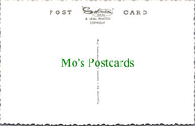 Load image into Gallery viewer, The High Street, Borth, Cardiganshire