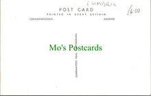 Load image into Gallery viewer, The Globe Hotel, Cockermouth, Cumbria