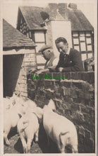 Load image into Gallery viewer, Farming - Pigs and Pig Farming