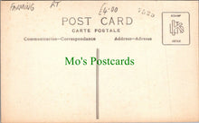 Load image into Gallery viewer, Farming - Pigs and Pig Farming