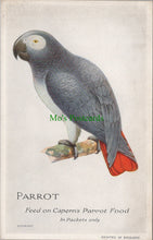 Load image into Gallery viewer, Advertising Postcard - Parrot, Feed on Capern's Parrot Food