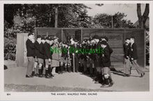 Load image into Gallery viewer, The Aviary, Walpole Park, Ealing, London