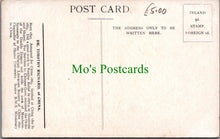 Load image into Gallery viewer, Dr Timothy Richard of China