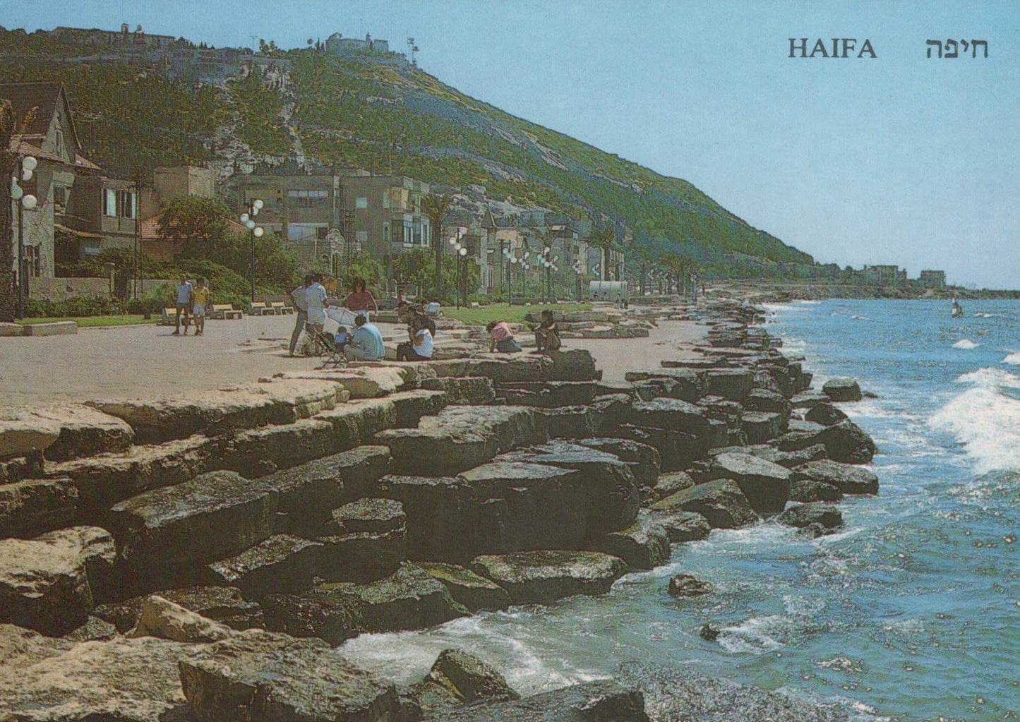 Israel Postcard - Haifa - Bat Gallim Promenade - Mt Carmel in The Background - Mo’s Postcards
