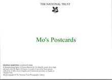 Load image into Gallery viewer, Donna Martina Nymphenburg Figure