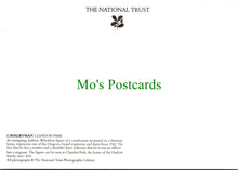 Load image into Gallery viewer, Cavalryman Figure, Clandon Park