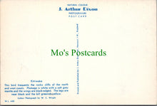 Load image into Gallery viewer, Birds Postcard - The Kittiwake