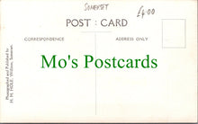 Load image into Gallery viewer, Holnicote House Hotel, Somerset