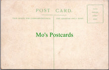 Load image into Gallery viewer, Animals Postcard - Highland Cattle