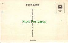 Load image into Gallery viewer, Aqualand's Giant Turtle, Torquay, Torbay