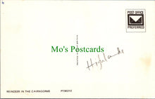 Load image into Gallery viewer, Reindeer in The Cairngorms