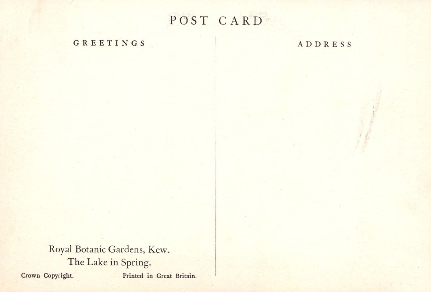 London Postcard - Royal Botanic Gardens, Kew - The Lake in Spring - Mo’s Postcards