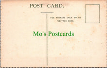 Load image into Gallery viewer, Animals Postcard - A Turkey - Birds