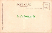 Load image into Gallery viewer, In The Plym Valley, Devon