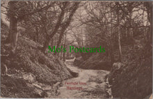 Load image into Gallery viewer, Fairlight Glen, Hastings, Sussex