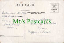 Load image into Gallery viewer, Greetings Postcard - Best Christmas Wishes