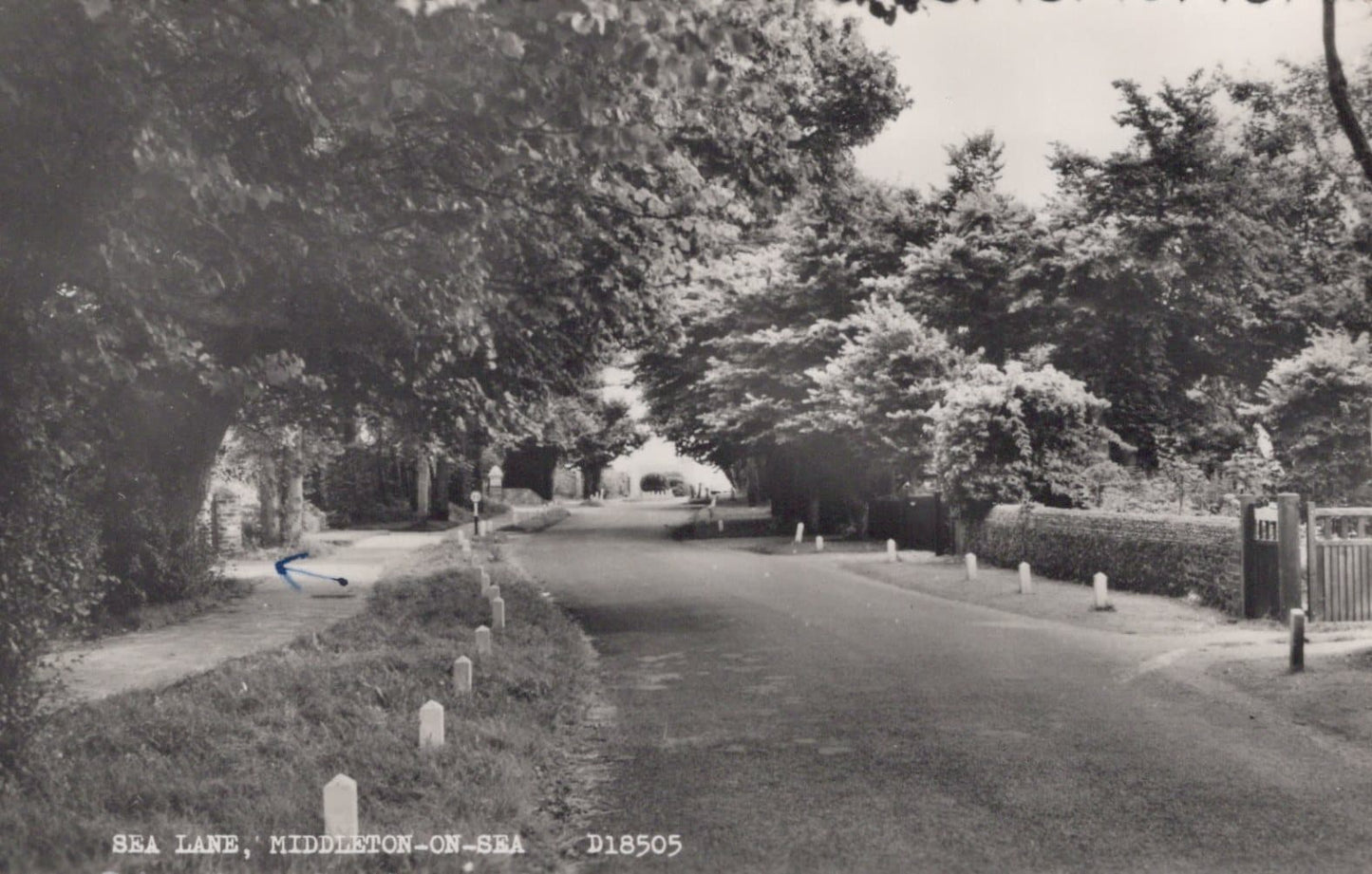 Sussex Postcard - Sea Lane, Middleton-On-Sea, 1967 - Mo’s Postcards