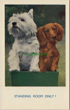 Load image into Gallery viewer, Dogs Postcard - White West Highland Terrier