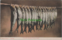 Load image into Gallery viewer, Fish Postcard - Yarmouth Bloaters