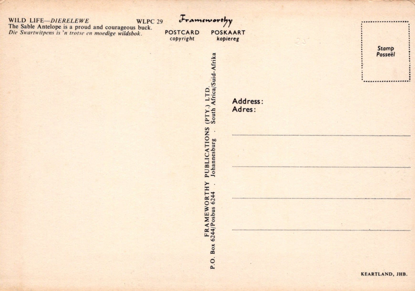 Animals Postcard - Wild Life - Dierelewe - The Sable Antelope - Mo’s Postcards