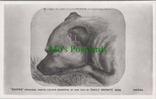 Load image into Gallery viewer, Dogs Postcard - Emily Bronte's Dog, 1838