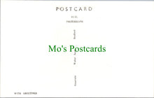 Load image into Gallery viewer, Dogs Postcard - Emily Bronte's Dog, 1838