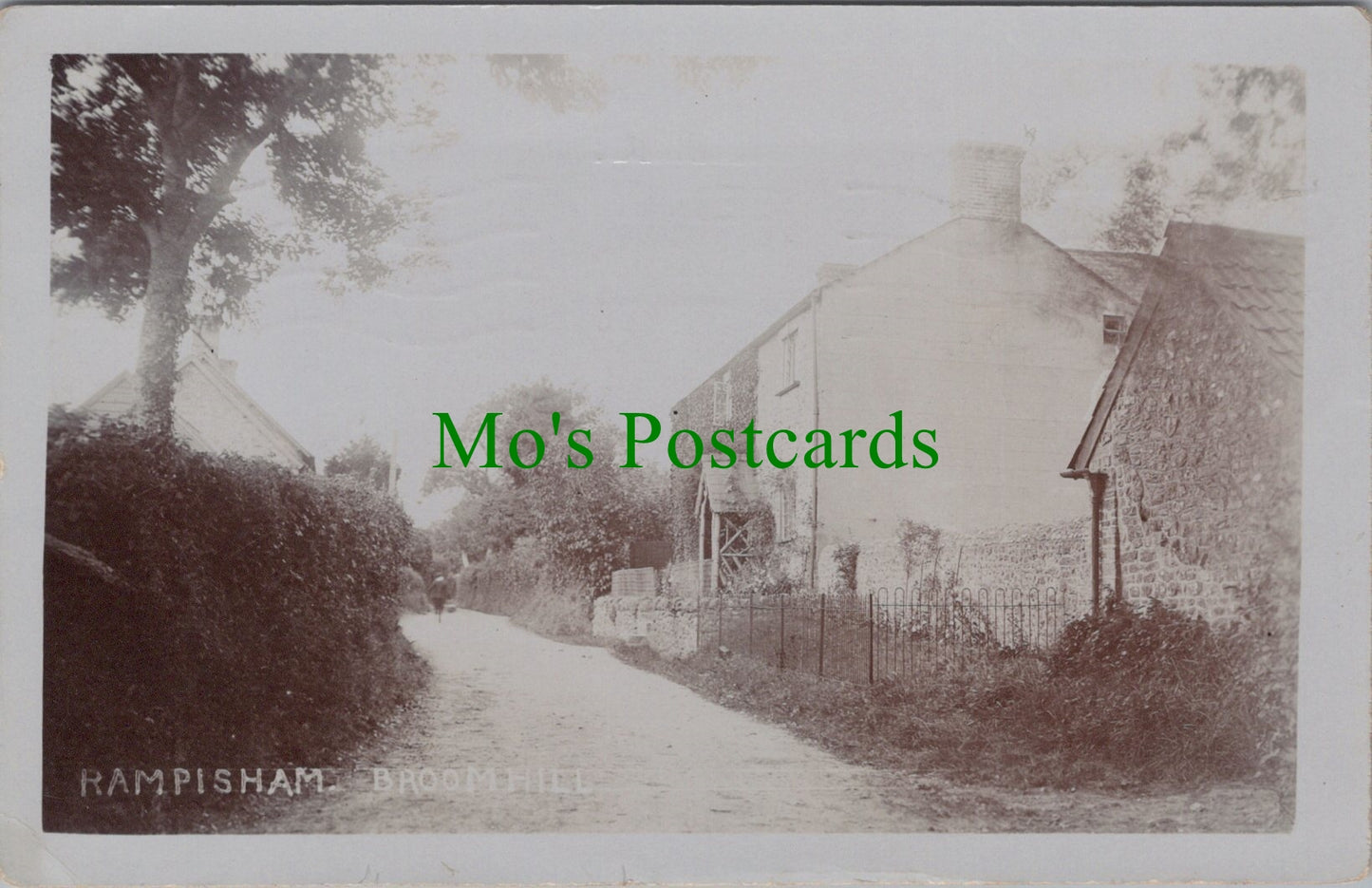 Broom Hill, Rampisham, Dorset
