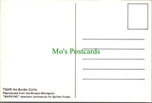 Load image into Gallery viewer, Dog Postcard - Tsar The Border Collie