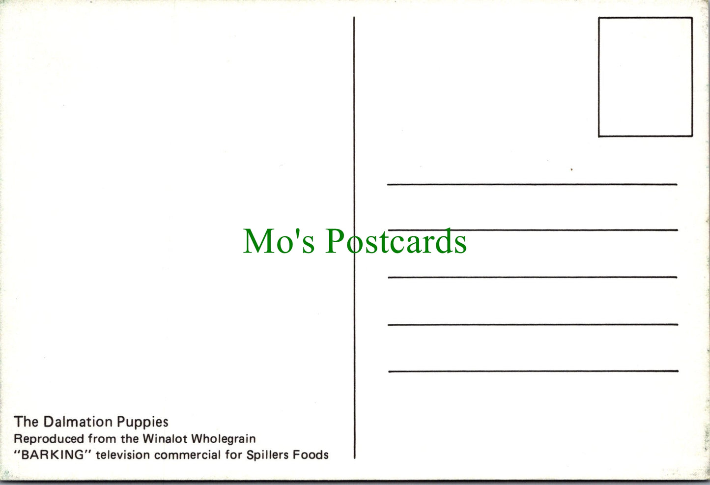 Dog Postcard - The Dalmation Puppies