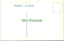 Load image into Gallery viewer, Comic Postcard - Beauty Contest / Naval Display