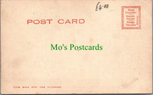 Load image into Gallery viewer, Barbary Lion Cubs, New York Zoo