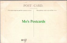 Load image into Gallery viewer, Animals Postcard - Horses Grazing