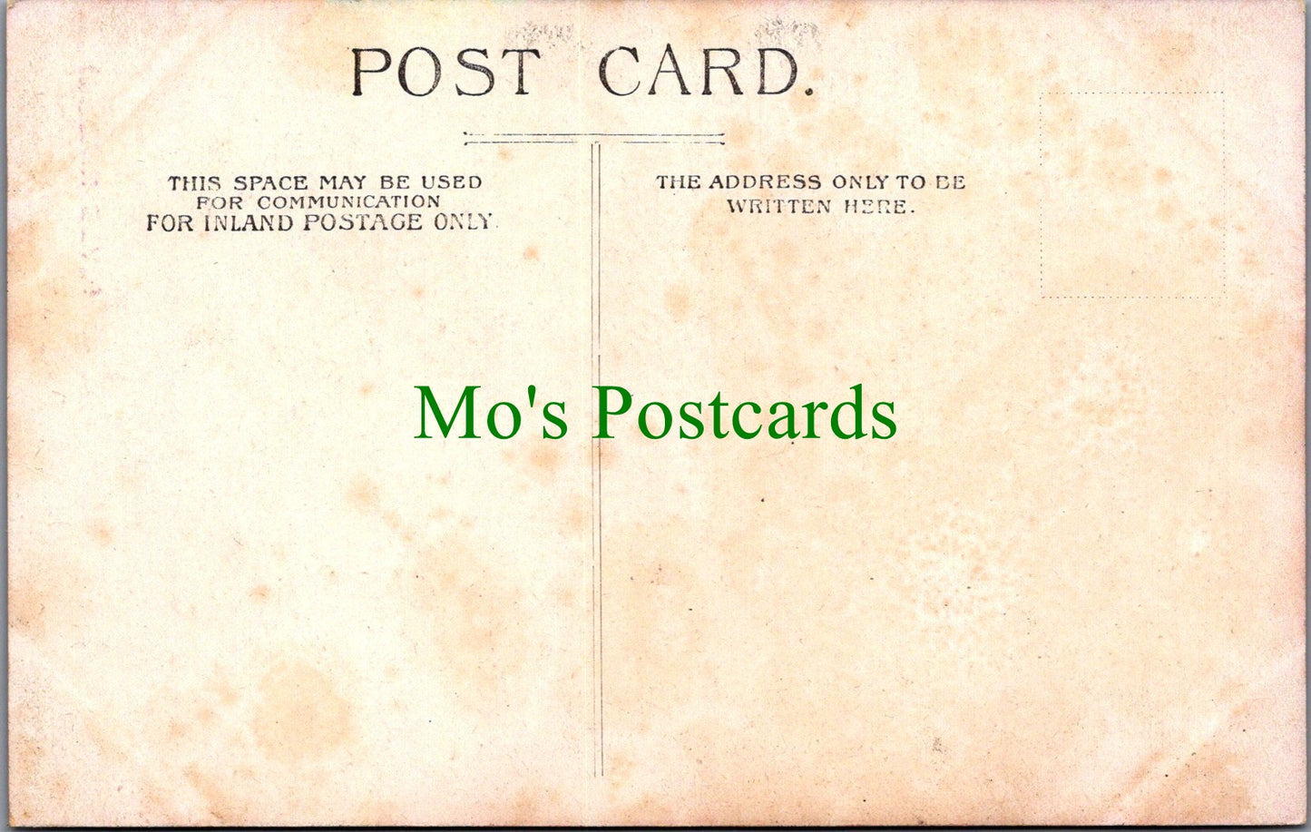 Animals Postcard - The Brown Bear