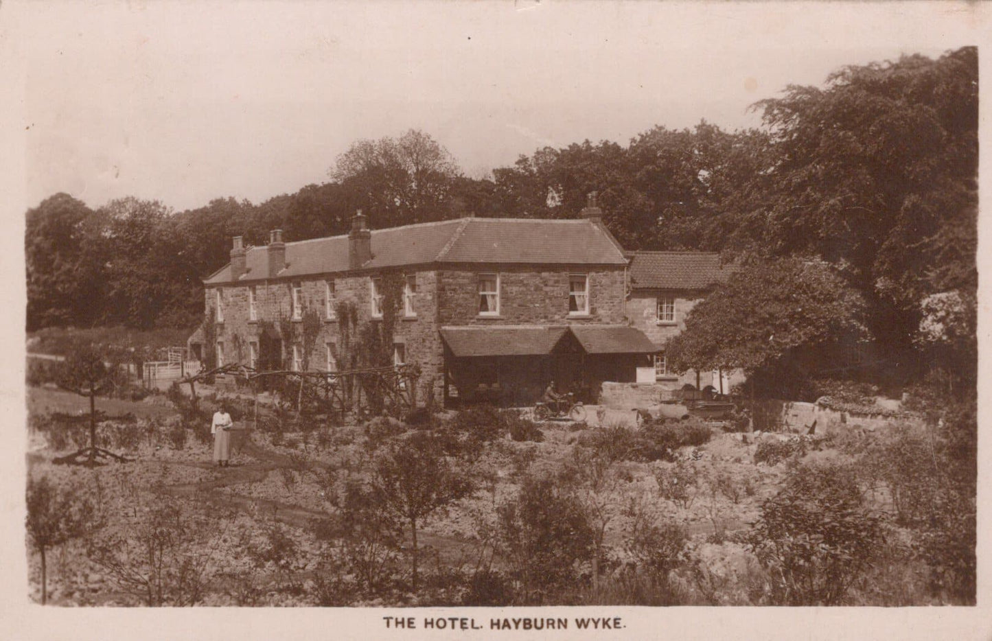 Yorkshire Postcard - The Hotel, Hayburn Wyke, 1928 - Mo’s Postcards