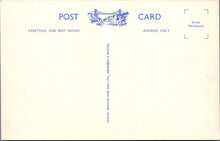 Load image into Gallery viewer, Dartmoor Pony and Foal