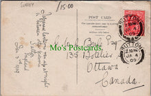 Load image into Gallery viewer, Xmas Show Week, High Street, Sutton, Surrey