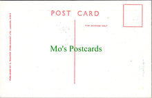 Load image into Gallery viewer, Comic Postcard - Risque / Shop Assistant