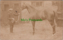 Load image into Gallery viewer, Animals Postcard - Horse Called Lorello
