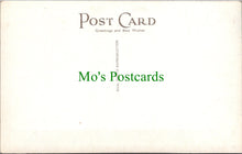 Load image into Gallery viewer, Abbotsbury Swannery, Weymouth