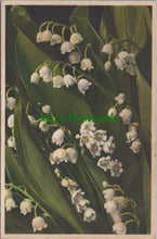 Load image into Gallery viewer, Flowers Postcard - The Mayflower