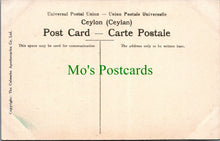 Load image into Gallery viewer, Village Girls, Ceylon / Sri Lanka